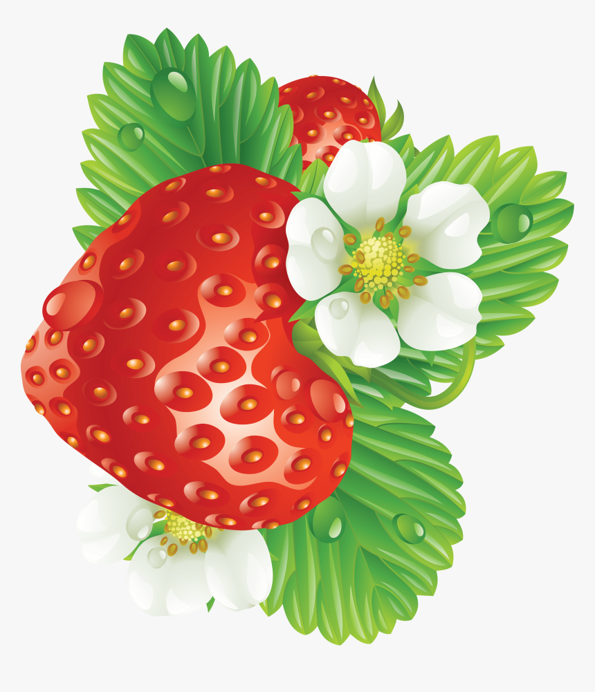 Fresa Imagen Png Descarga Gratuita De Im Genes Con - Strawberry, Transparent Png, Free Download