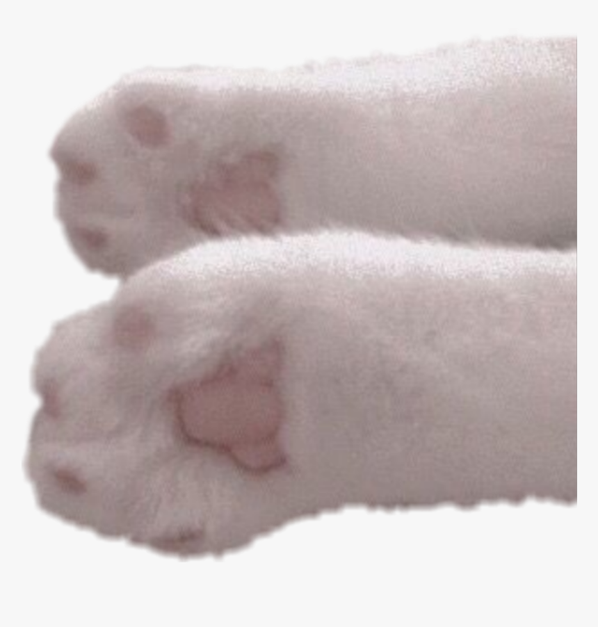 #freetoedit #white #cat #paws - Paw, HD Png Download, Free Download