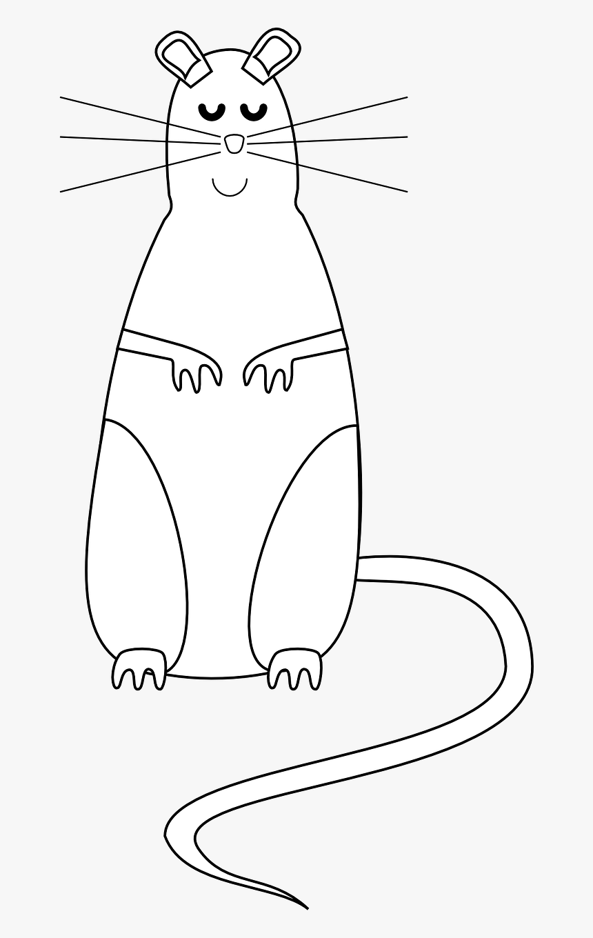 Rat, HD Png Download, Free Download