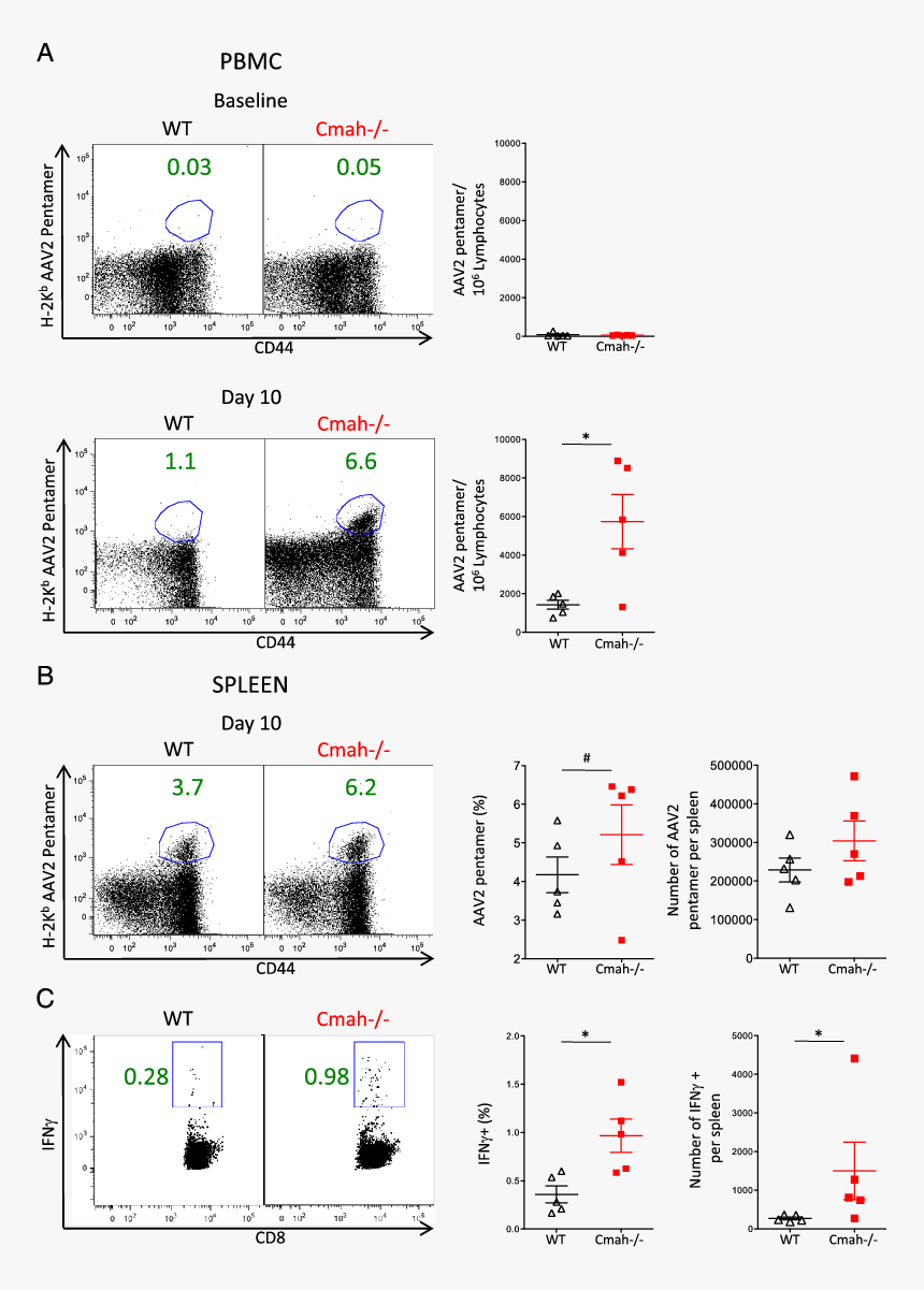 Diagram, HD Png Download, Free Download