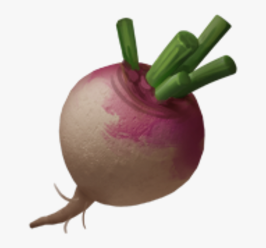 Beetroot, HD Png Download, Free Download