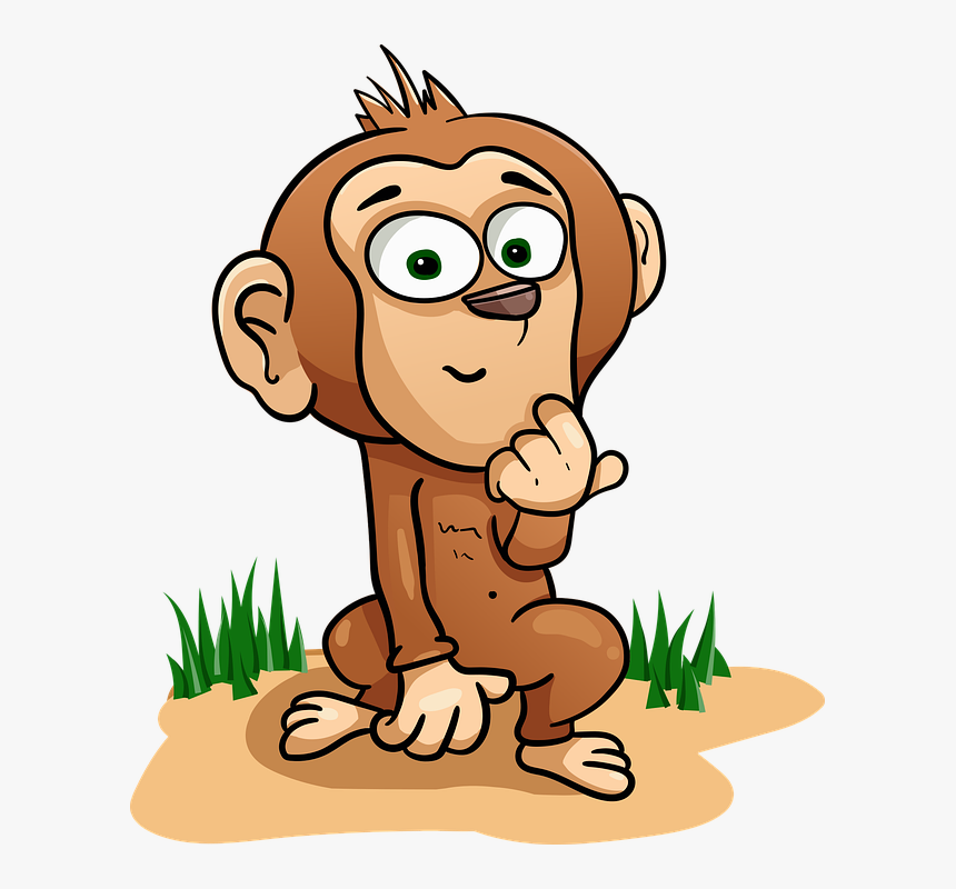 Monkey, HD Png Download, Free Download