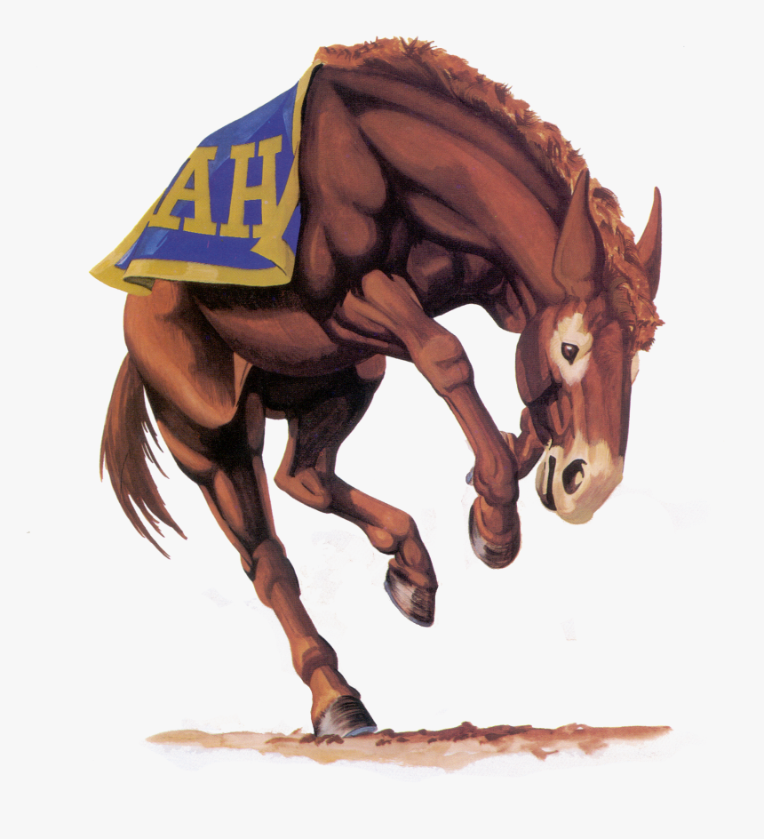 Bucking Mule 300 Dpi / Rgb / Png, Transparent Png, Free Download