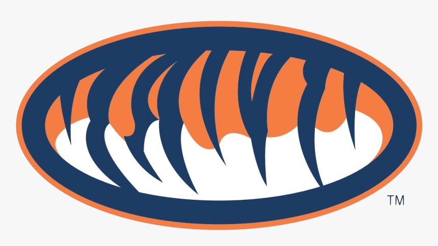 Auburn University Seal And Logos Png - Auburn Tigers, Transparent Png, Free Download