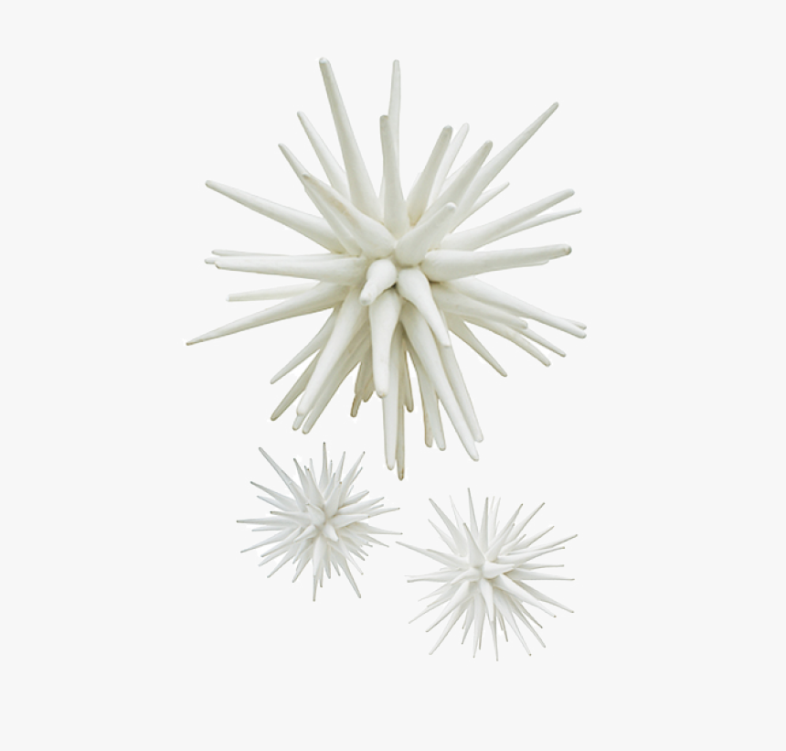 Sea Urchin Lg $1,000 Lg, - Metal, HD Png Download, Free Download