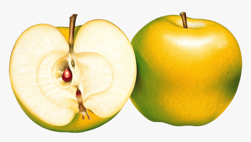 33 Green Png Apple Image Clipart Transparent Png Apple, Png Download, Free Download