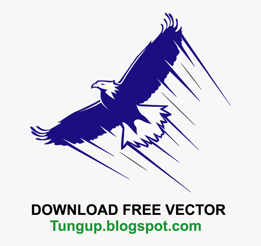 Vector Eagle Flying Png, Transparent Png, Free Download