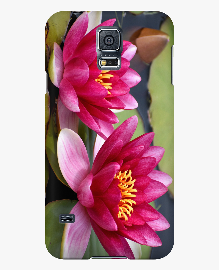 Smartphone, HD Png Download, Free Download