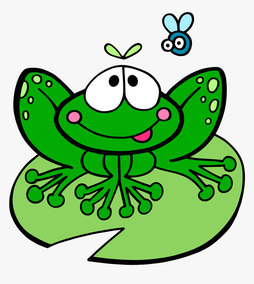 Frog Lily Pad , Png Download, Transparent Png, Free Download