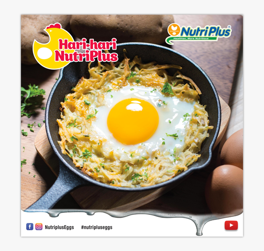 Egg Yolk Png, Transparent Png, Free Download