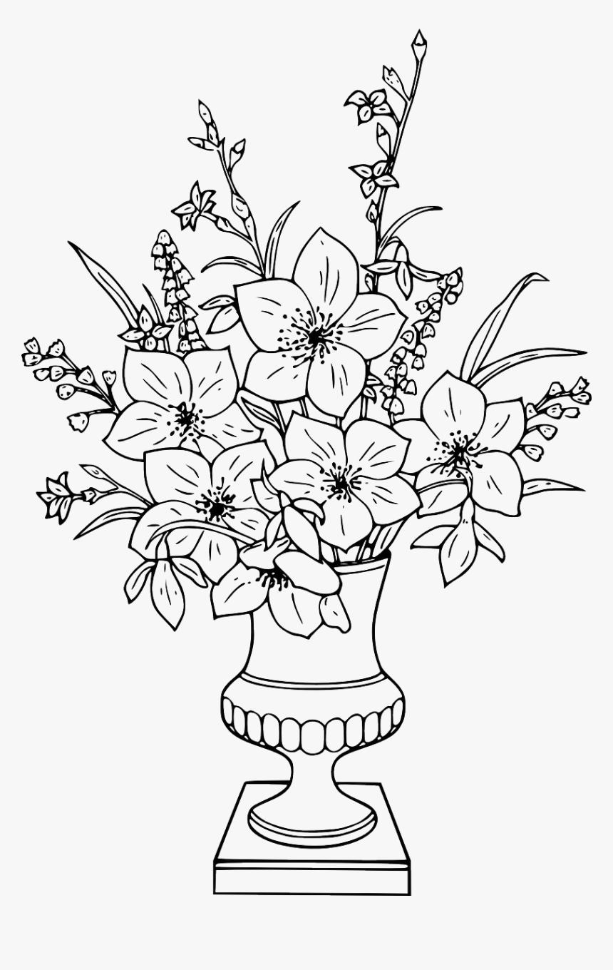 Flower Vase Colouring Pages, HD Png Download, Free Download