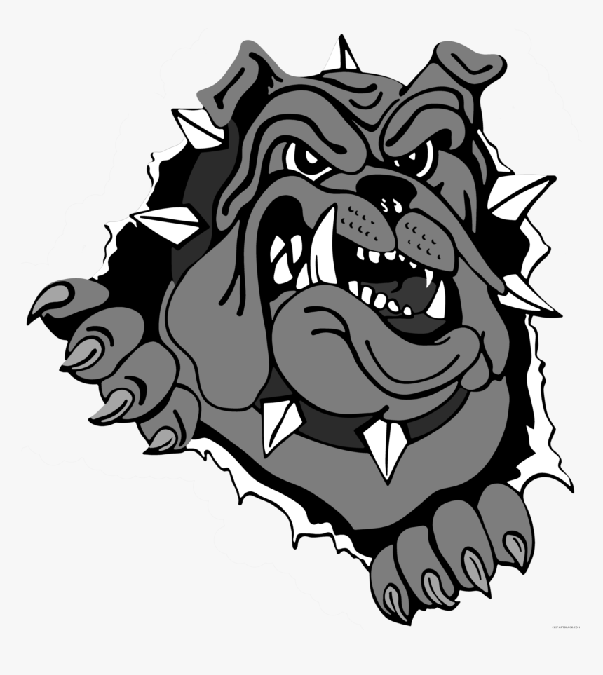 Bull Dog Clipart Clip Stock Bulldog Head Clipart - Pittsfield Bulldogs, HD Png Download, Free Download