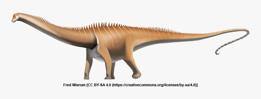 Diplodocus Tail, HD Png Download, Free Download