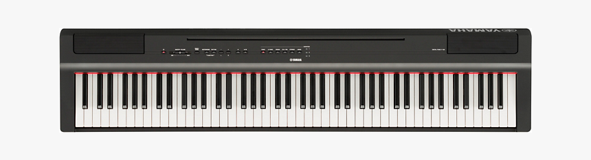 Yamaha P 125 88 Key Weighted Action Keyboard - Yamaha Keyboard P 125, HD Png Download, Free Download