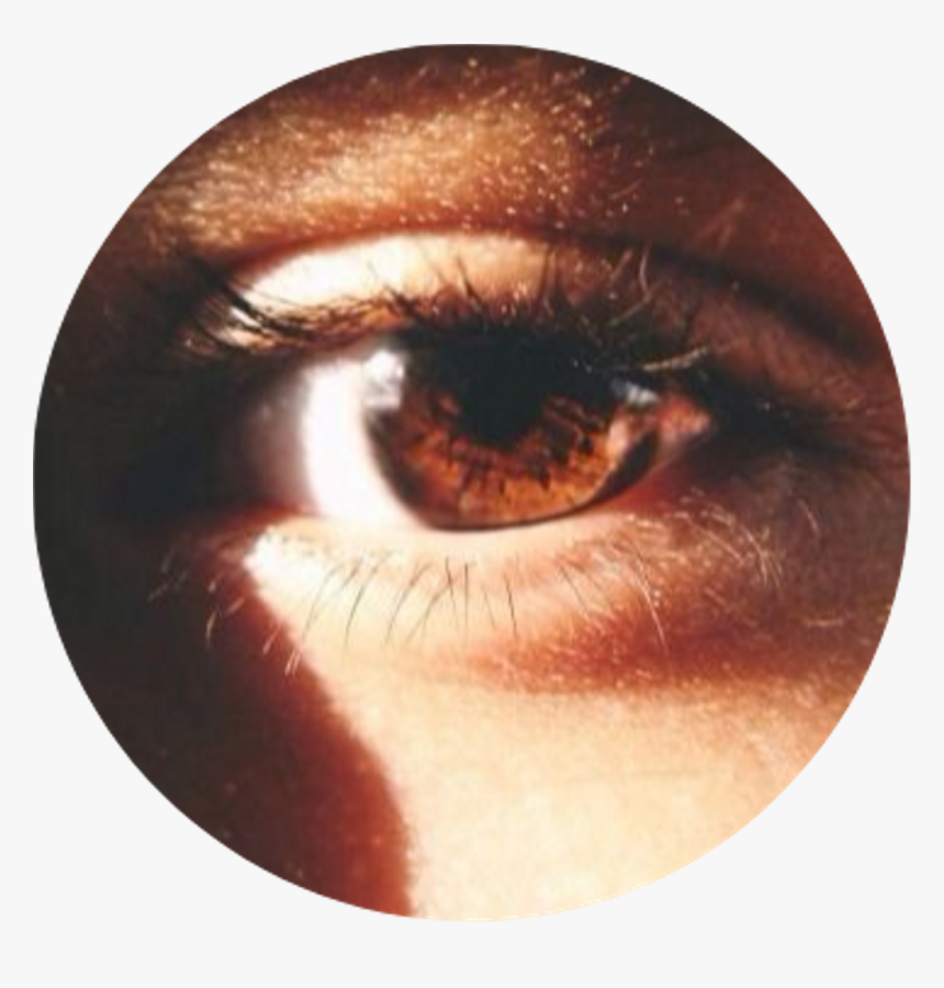 Tumblr Aesthetic Brown Eye Browneye - Aesthetic Brown Eye, HD Png Download, Free Download