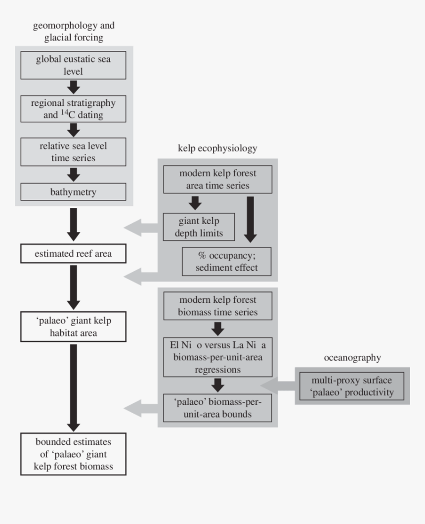 Diagram, HD Png Download, Free Download