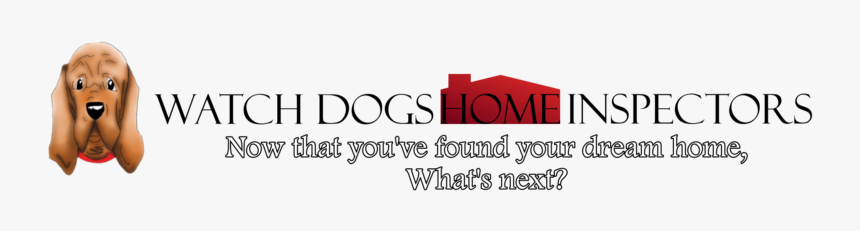Wdhi Website, HD Png Download, Free Download