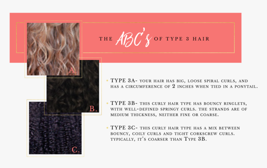 Abcs Of Hair Type 3-04 - Bilberry, HD Png Download, Free Download