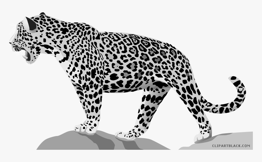 Jaguar Clipart Black And White - Animal White And Black, HD Png Download, Free Download