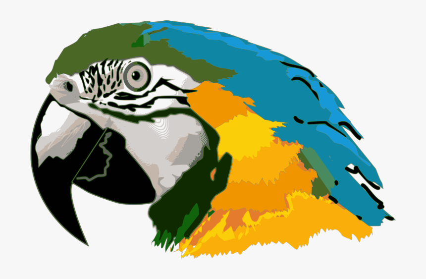 Macaw Face Png Picture - Amazônia Clipart, Transparent Png, Free Download