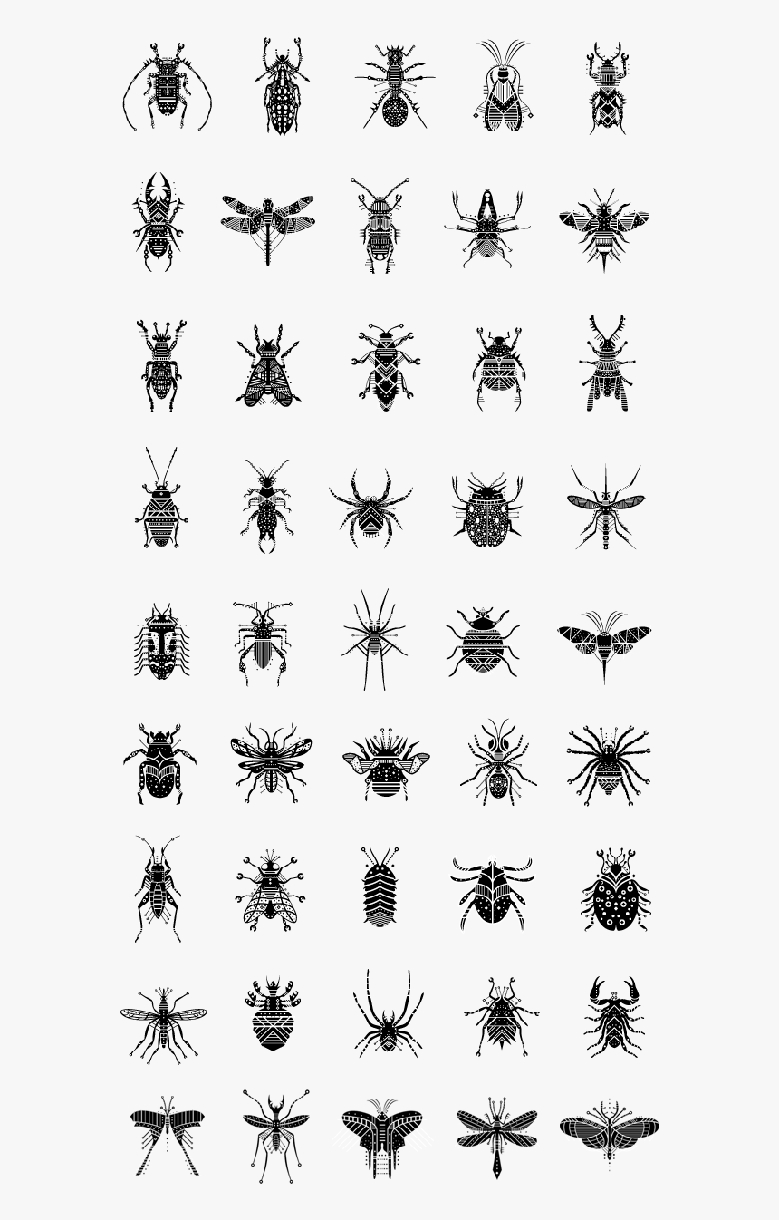 Pictogramme Insecte, HD Png Download, Free Download