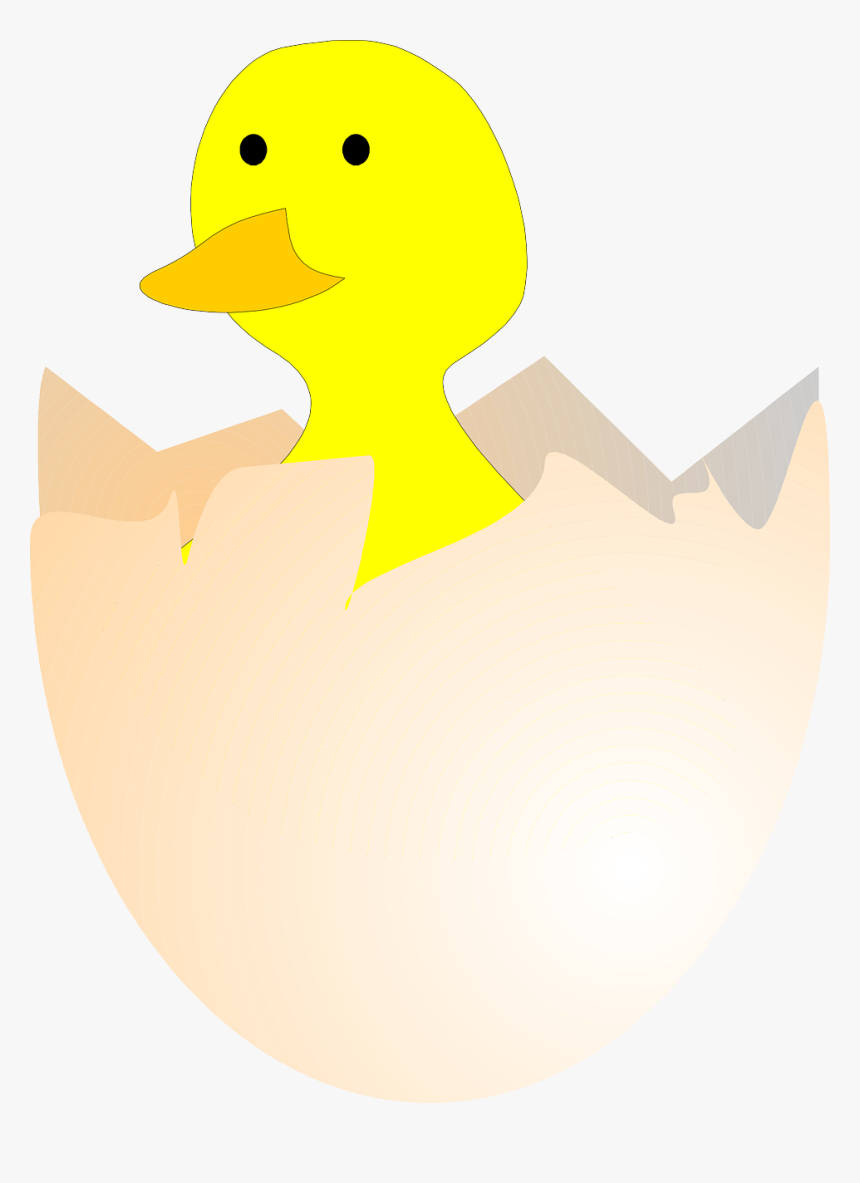 Chick Hatching Egg Free Photo - Gambar Telur Bebek Menetas, HD Png Download, Free Download