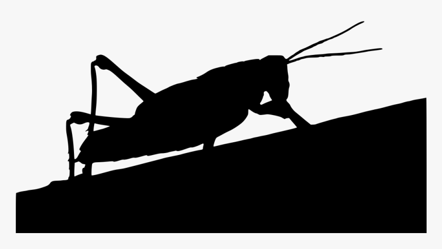 Saltamontes Silueta Png, Transparent Png, Free Download