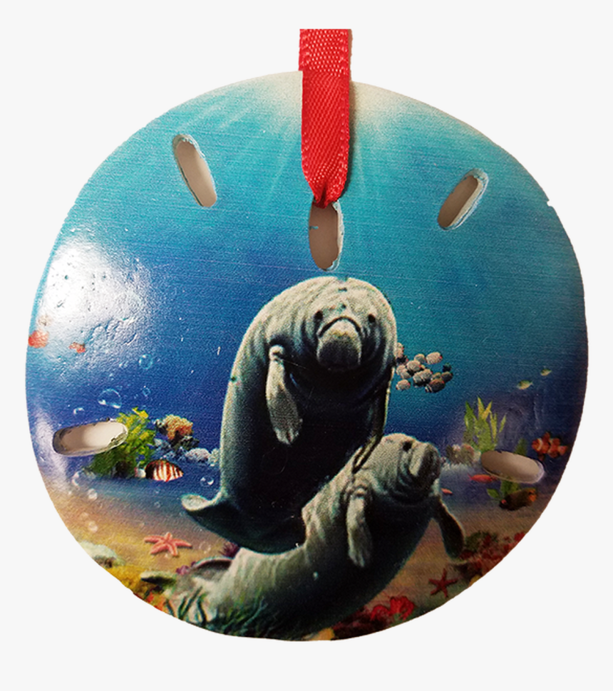 S1020-28 Sand Dollar Mamatees Ornament 3" - California Sea Lion, HD Png Download, Free Download