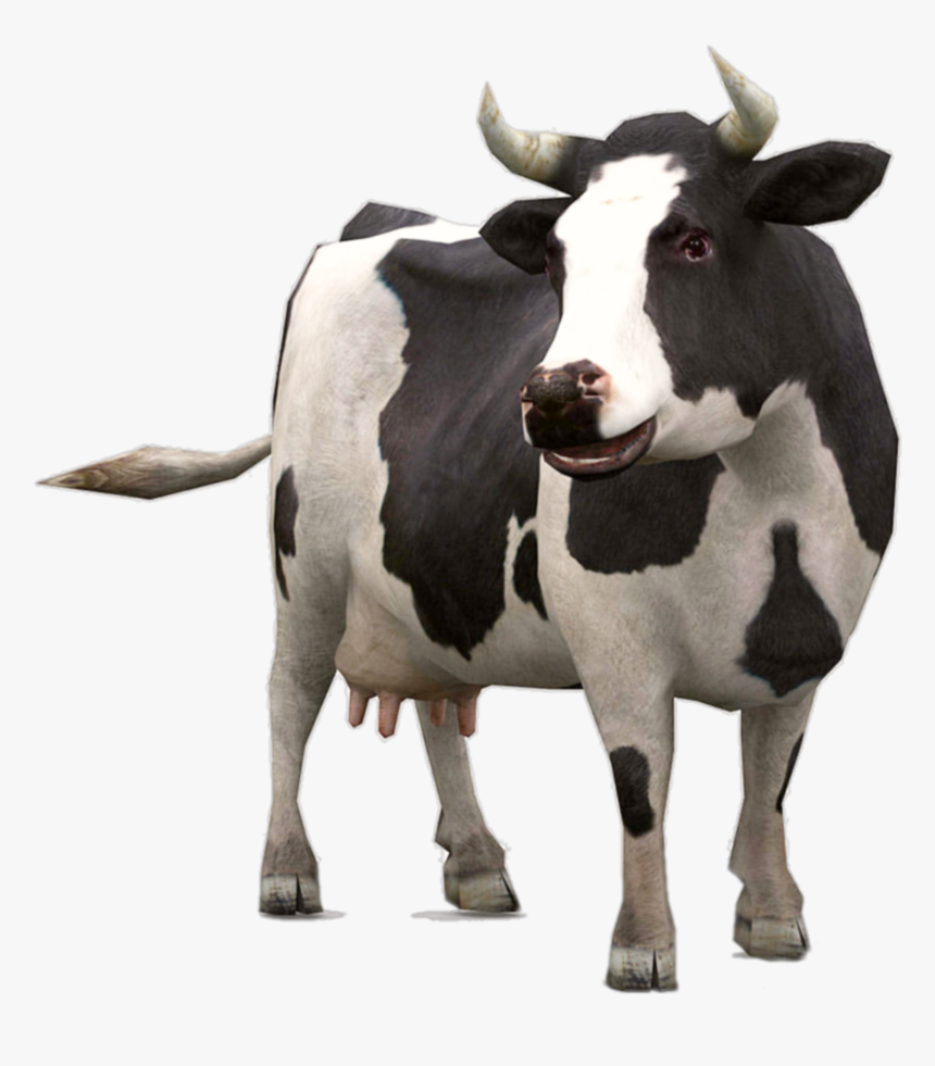 vaca - Animals Useful To Us, HD Png Download - kindpng