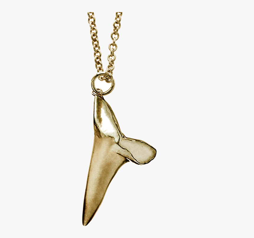 Shark Tooth Png - Shark Tooth Necklace Png, Transparent Png, Free Download