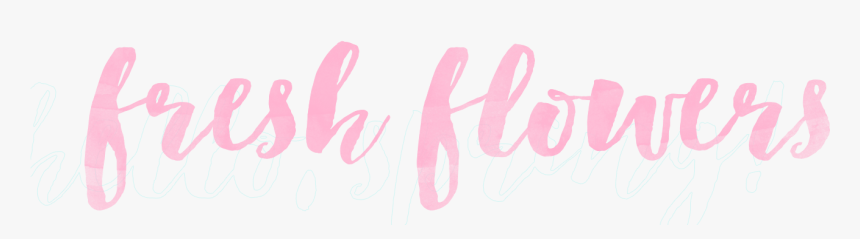 Spring Watercolor Overlays Fresh Flowers Pink - Calligraphy, HD Png Download, Free Download