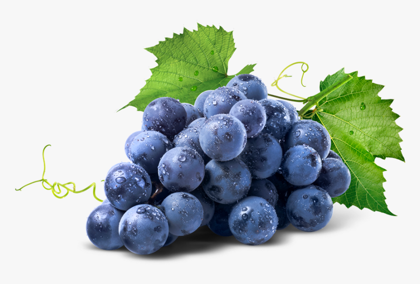 Racimo De Uvas - Resveratrol In Trauben, HD Png Download, Free Download