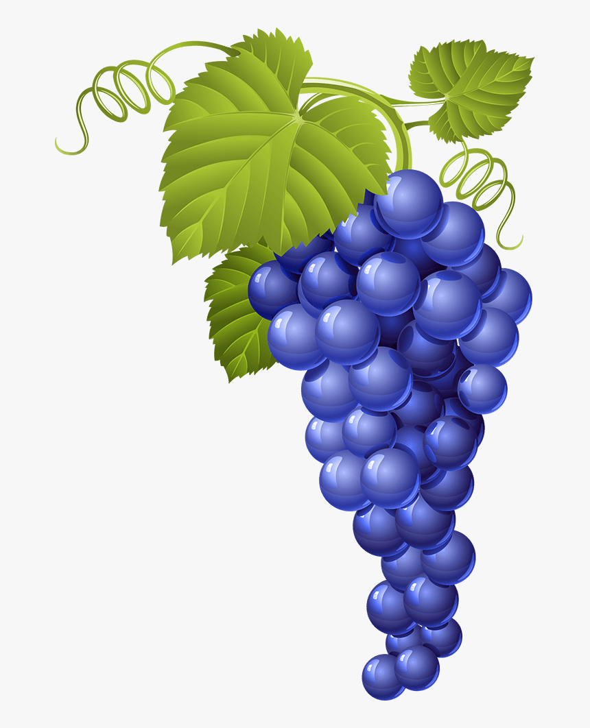 Grapes Design, HD Png Download, Free Download