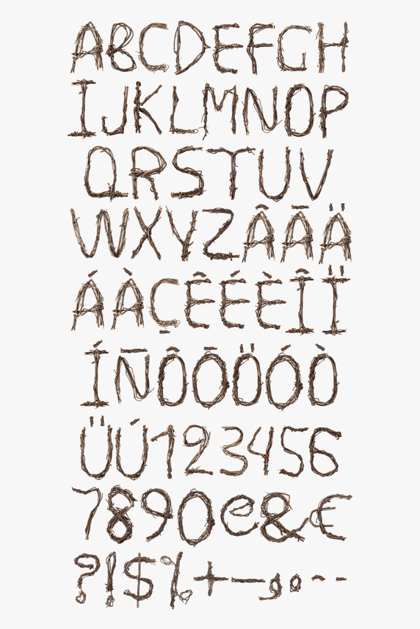 Tree Branch Wood Font - Writing, HD Png Download, Free Download