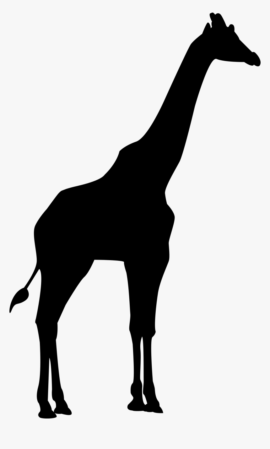 Mane Northern Giraffe Clip Art - Giraffe Silhouette Png, Transparent Png, Free Download