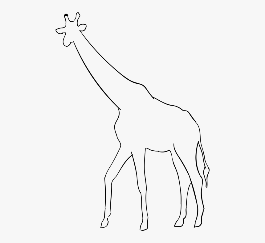 Vector Giraffe Silhouettes Gambar Jerapah Hitam Putih Hd Png Download Kindpng
