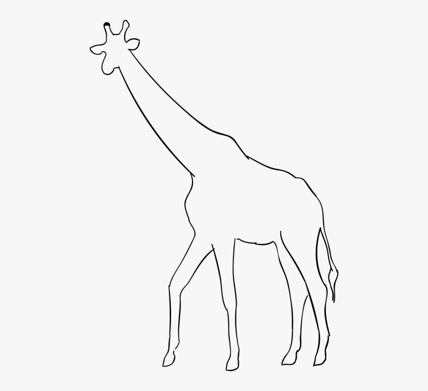 Vector Giraffe Silhouettes - Gambar Jerapah Hitam Putih, HD Png Download, Free Download