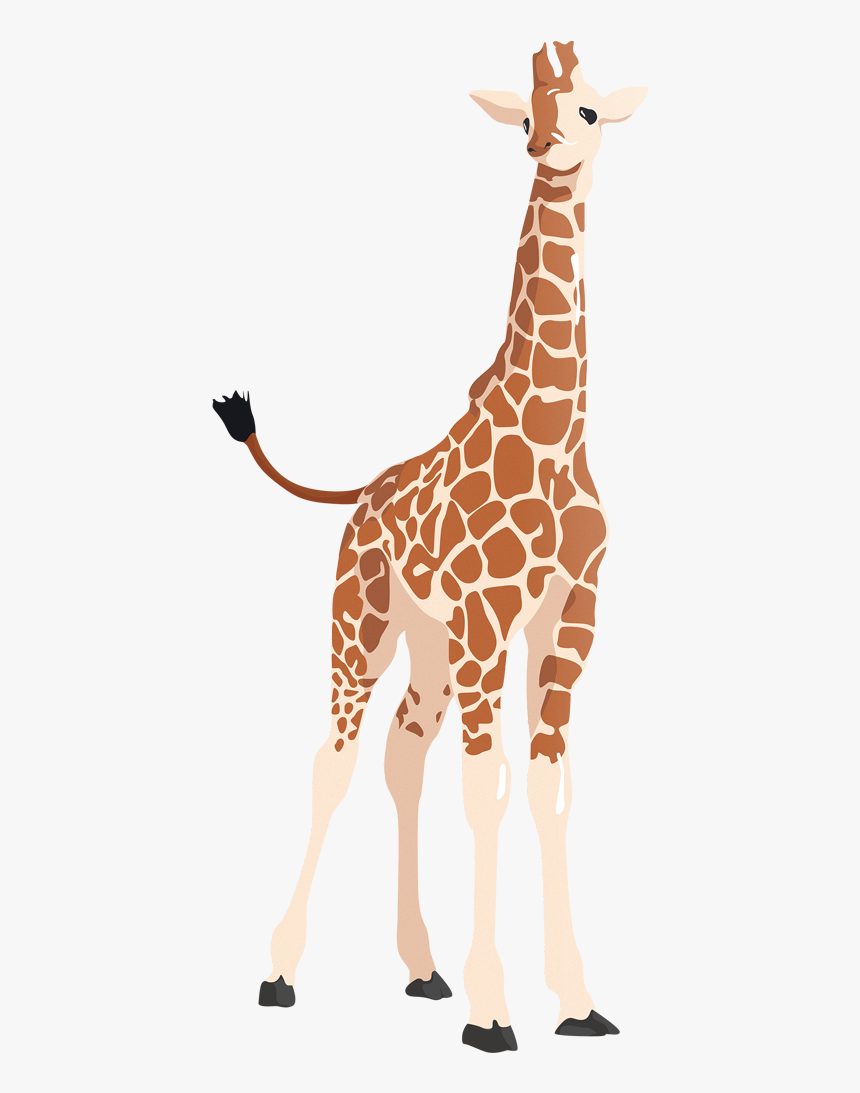 Vector Giraffe Shadow - Transparent Clipart Of A Giraffe, HD Png Download, Free Download