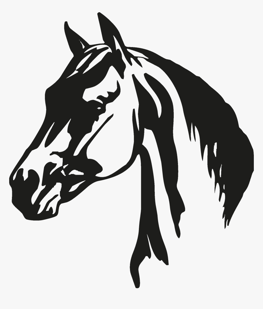 Horse Head Silhouette Png - Horse Head Free Vector, Transparent Png, Free Download