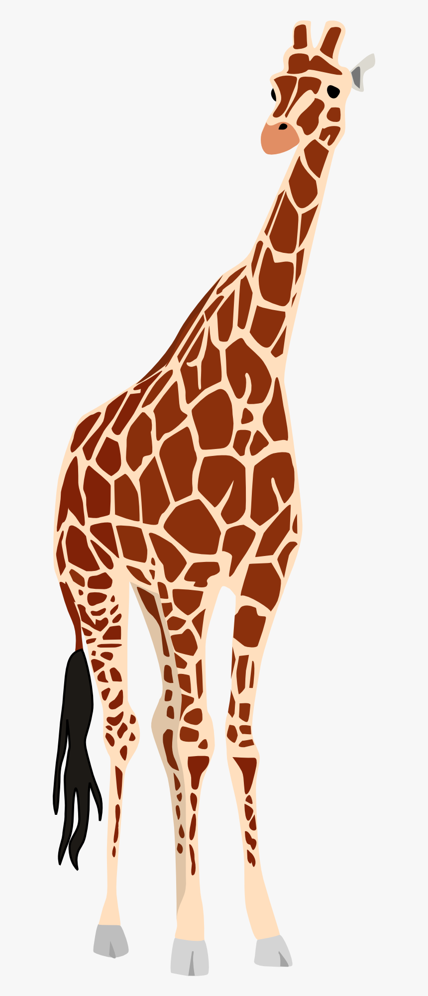 Giraffe Vector, HD Png Download, Free Download