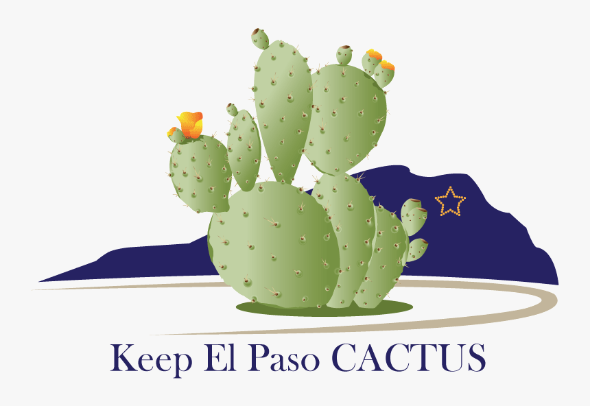 Vector Design By Sonia Schafer For Drennan Enterprises - Eastern Prickly Pear, HD Png Download, Free Download