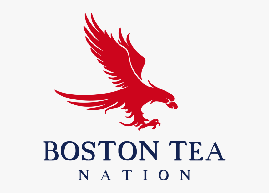 Boston Tea Nation - Eagle, HD Png Download, Free Download