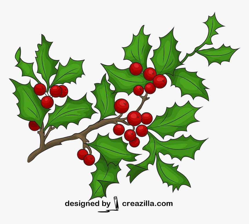 Holly Branch Clipart, HD Png Download, Free Download