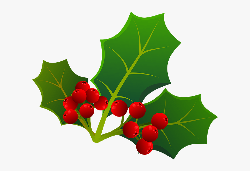 American Holly, HD Png Download, Free Download