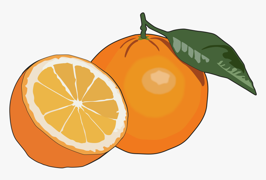 Thumb Image - Dibujo De Una Naranja, HD Png Download, Free Download