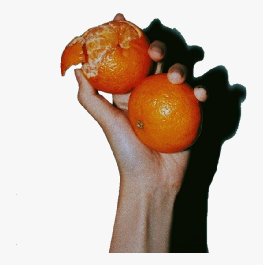 #naranja #orange #fruit #tumblr #aesthetic - Naranja Tumblr Aesthetic, HD Png Download, Free Download