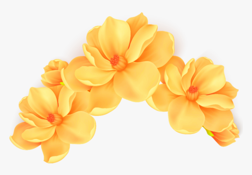 #flowers #flores #blossom #orange #naranja #anaranjadas - Pink Flower Vector Png, Transparent Png, Free Download