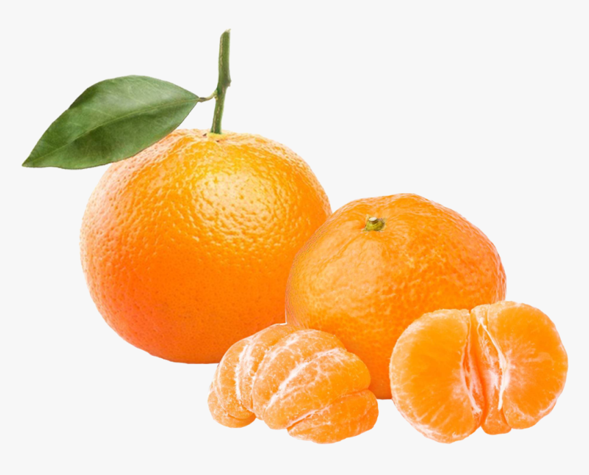 Naranjas Y Mandarinas, HD Png Download, Free Download