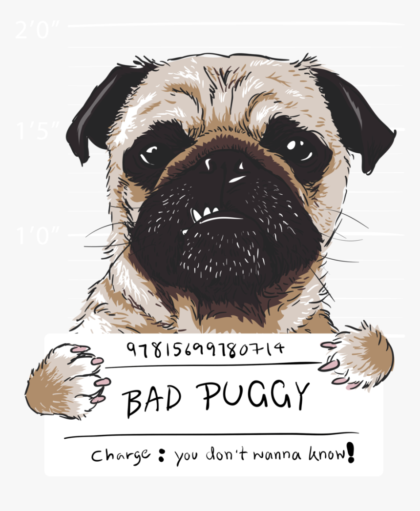 Buddha The Pug Salute , Png Download - Dog Wanted, Transparent Png, Free Download