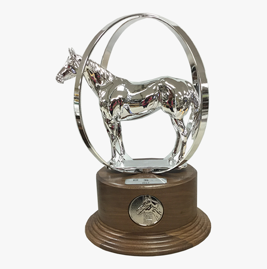 Aqha Globe World Championship, HD Png Download, Free Download